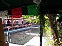 Mexico2005 090.jpg